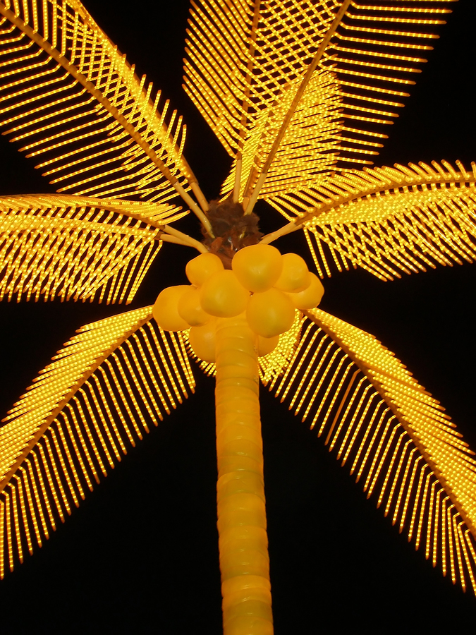 Lighted_Palm_Tree_2