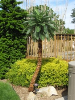 Realistic Caribbean Palm Outdoor Artificial Palm Tree Backyard Poolside