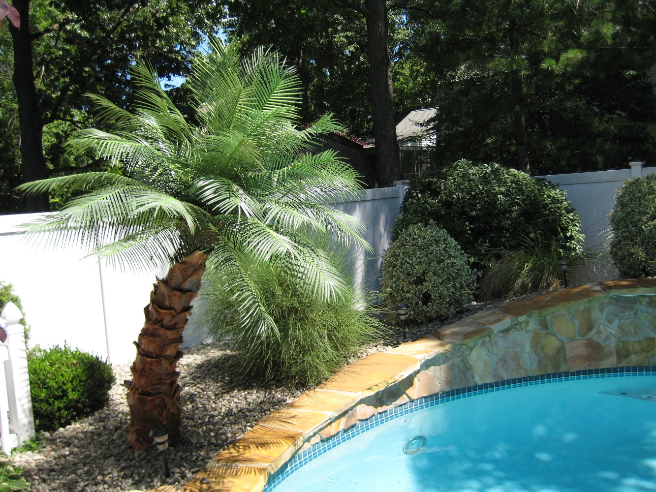 Artificial Outdoor Palm Trees Areca Palm Pool Area Tropical