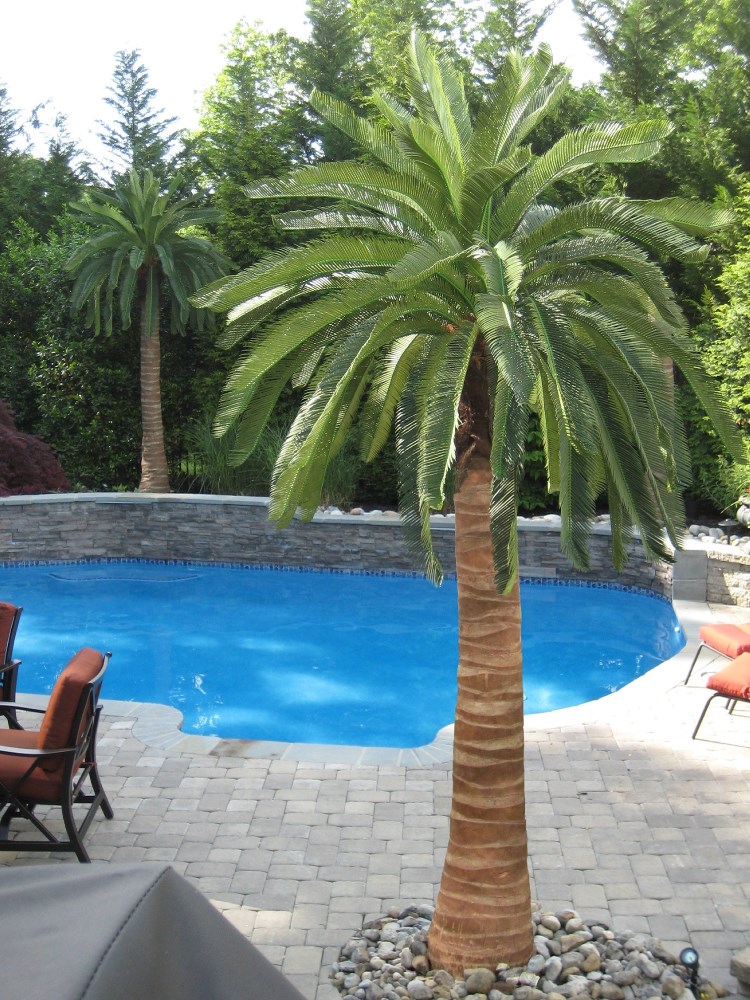 Fake Palm Trees For Pool Area Ubicaciondepersonas cdmx gob mx wholesale-artificial-palm-trees-manufacturer-and-supplier-factory-flora