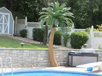 Coconut Palm Tree Artificial Palms Pool Area Backyard