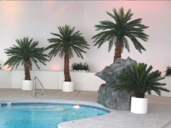 Poolside Outdoor Fake Palm Trees Realistic Canary Palms Artificial