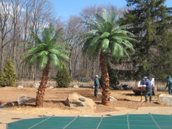 Pool Area Artificial Outdoor Palm Trees Phoenix Fake Palm Trees Realistic