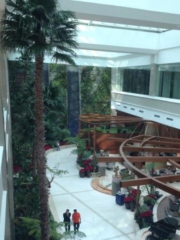 Interior Installation Washingtonian Large Indoor Preserved Palm Trees