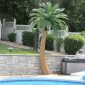 Coconut Palm Tree Artificial Palms Pool Area Backyard