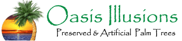 Oasis Illusions Logo