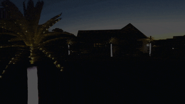 Lighted Palm Trees Lighted Palm Trees