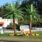 Artificial Outdoor Palm Trees Custom Tropical Fake Palms Phoenix