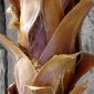 Artificial outdoor palm bark closeup photo