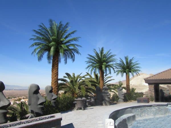 artificial-outdoor-palm-trees Artificial outdoor palm trees by a residential swimming pool