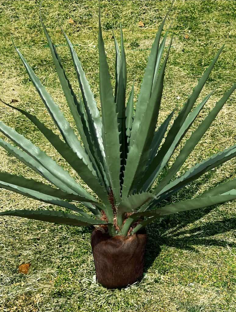 Outdoor Artificial Palm Trees 13 Artificial palm plants outdoor at a residential property