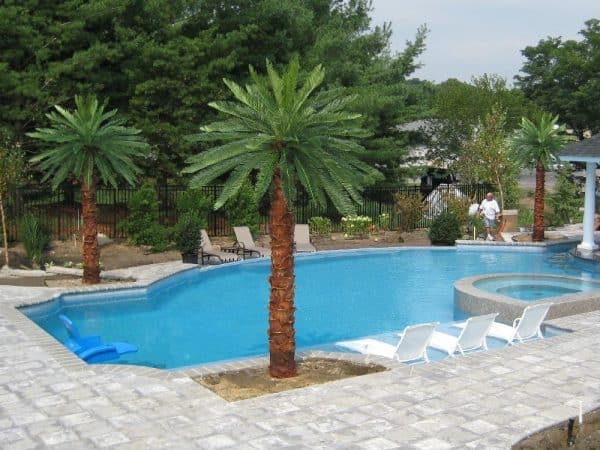 artificial-palm-trees-for-outside Artificial palm trees for outside poolside