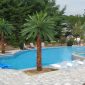 Artificial palm trees for outside poolside