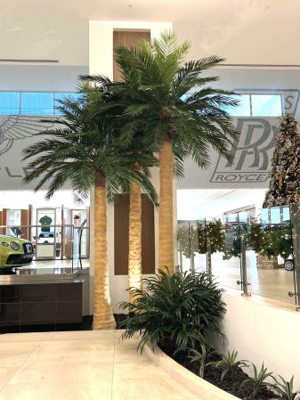 Home 15 Artificial palm trees indoor at a Rolls Royce car dealership