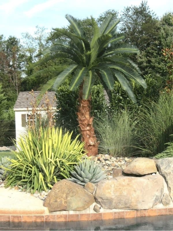 artificial-palm-trees-outdoor Artificial palm trees outdoor at a residential property