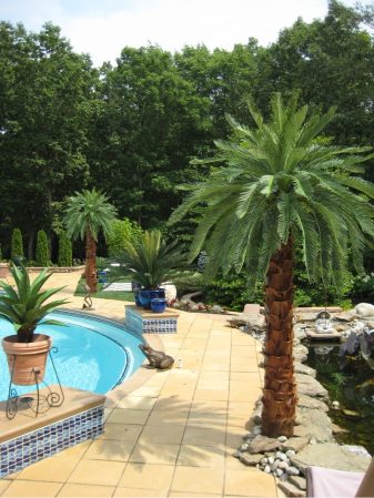 Home 8 Poolside Realistic Outdoor Fake Palm Trees Canary Palms Artificial