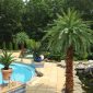 Poolside Realistic Outdoor Fake Palm Trees Canary Palms Artificial