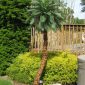 Realistic Caribbean Palm Outdoor Artificial Palm Tree Backyard Poolside