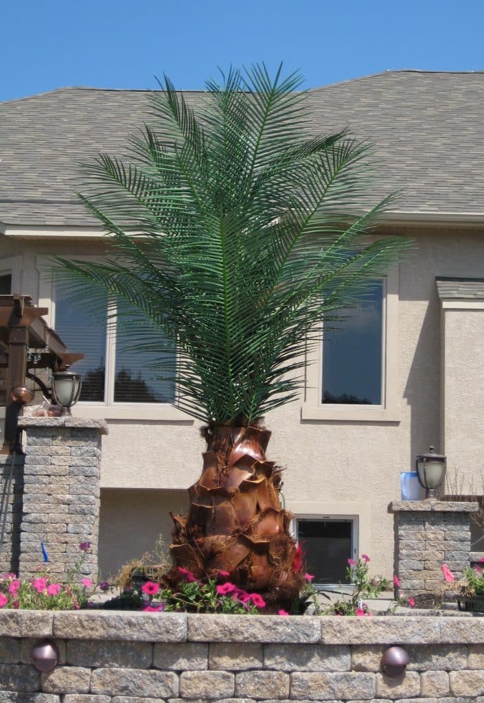 Outdoor Artificial Palm Trees 9 Fake outdoor palm tree at a residential property