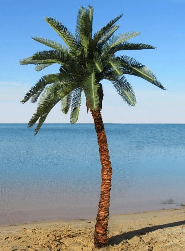 fake-palm-tree-for-outside Fake palm tree for outside on a beach