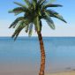 Fake palm tree for outside on a beach