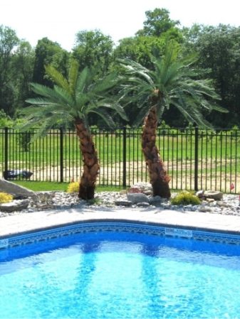 fake-palm-trees-for-outside Fake palm trees for outside pool area