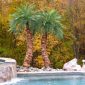 Faux palm tree outdoor poolside
