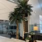 Indoor faux palm trees at a car dealership