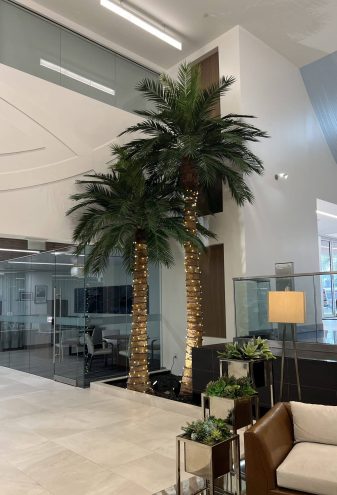Indoor Artificial Palm Trees