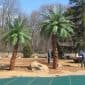 Outdoor artificial palm trees at a residential property