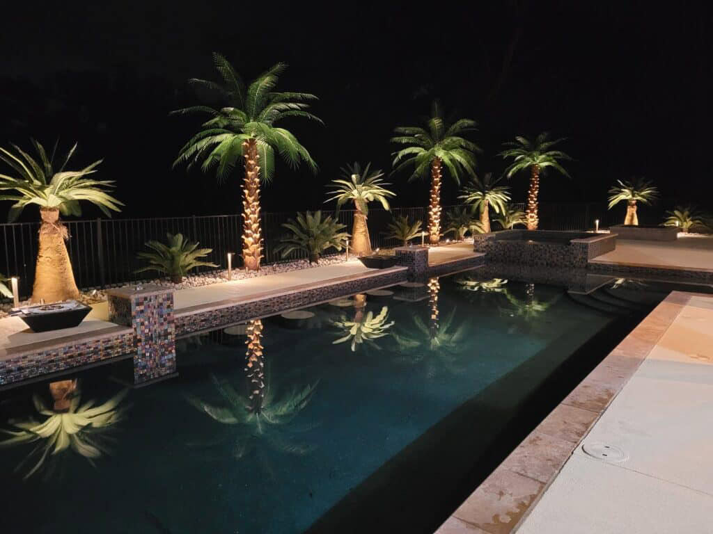 Mature Phoenix night time 1