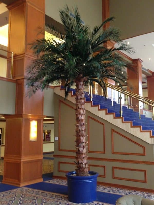 Artificial palm trees for indoors in a hotel lobby
