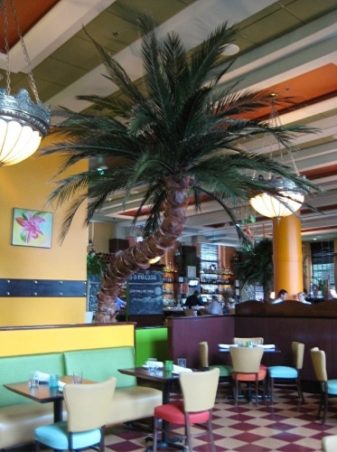 faux-palm-tree-indoor Faux palm tree indoor in a restaurant