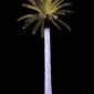 Glowing lighted outdoor artificial palm tree in backyard at dusk