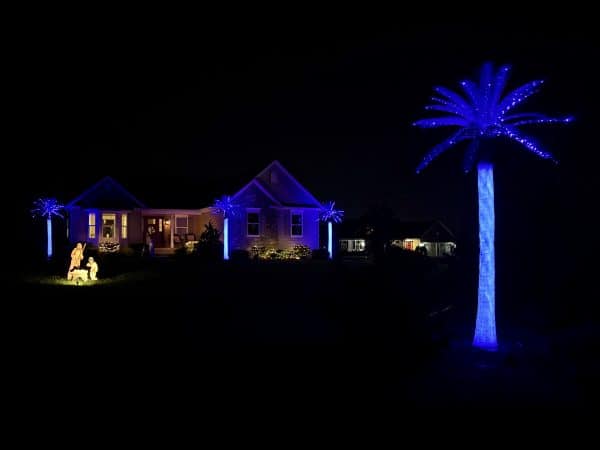 lighted-outdoor-artificial-palm-trees-deep-blue-christmas-front-yard-4 Four glowing deep-blue Christmas lighted artificial palm trees in a front yard at dusk