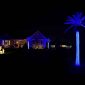 Four glowing deep-blue Christmas lighted artificial palm trees in a front yard at dusk