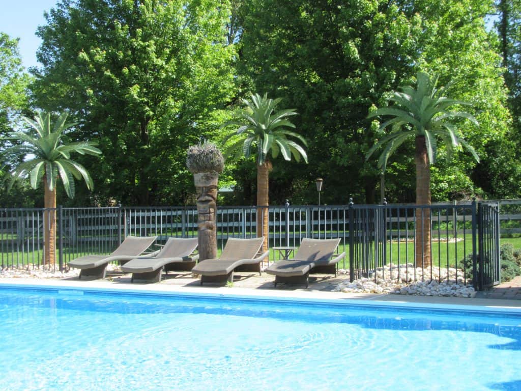 10 Coconut Palms with 33 leaves