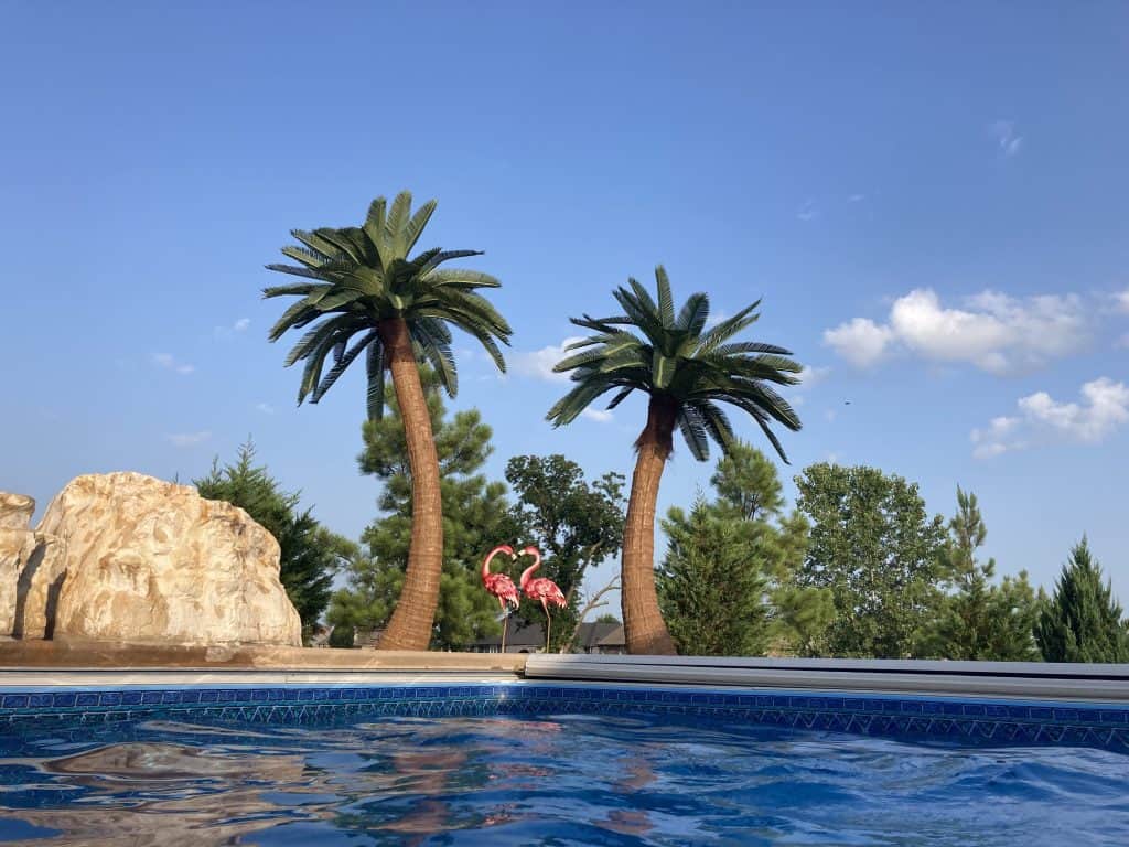 10 and 12 curved canary Coconut Palms Copy Copy