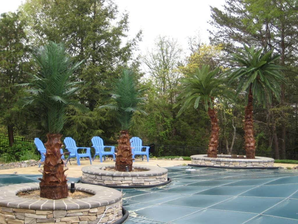 12 Canary and 7 Bottle Palms 2014 09 22 22 09 02 UTC