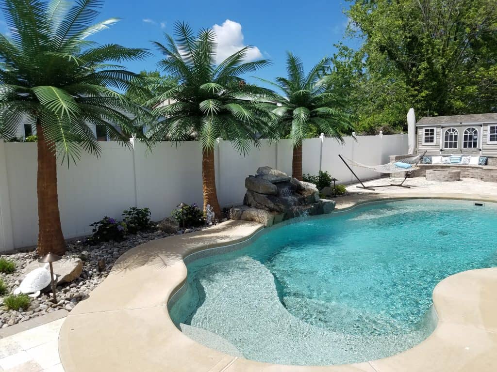 14 Coconuts with 5 leaves 2