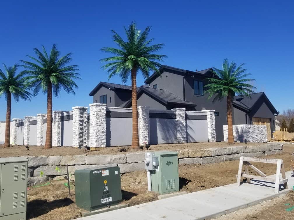 17 and 18 Coconut Palms 2