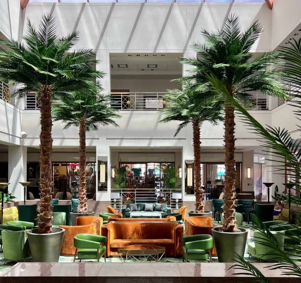 2 20 indoor Silk leaf Phoenix Palm