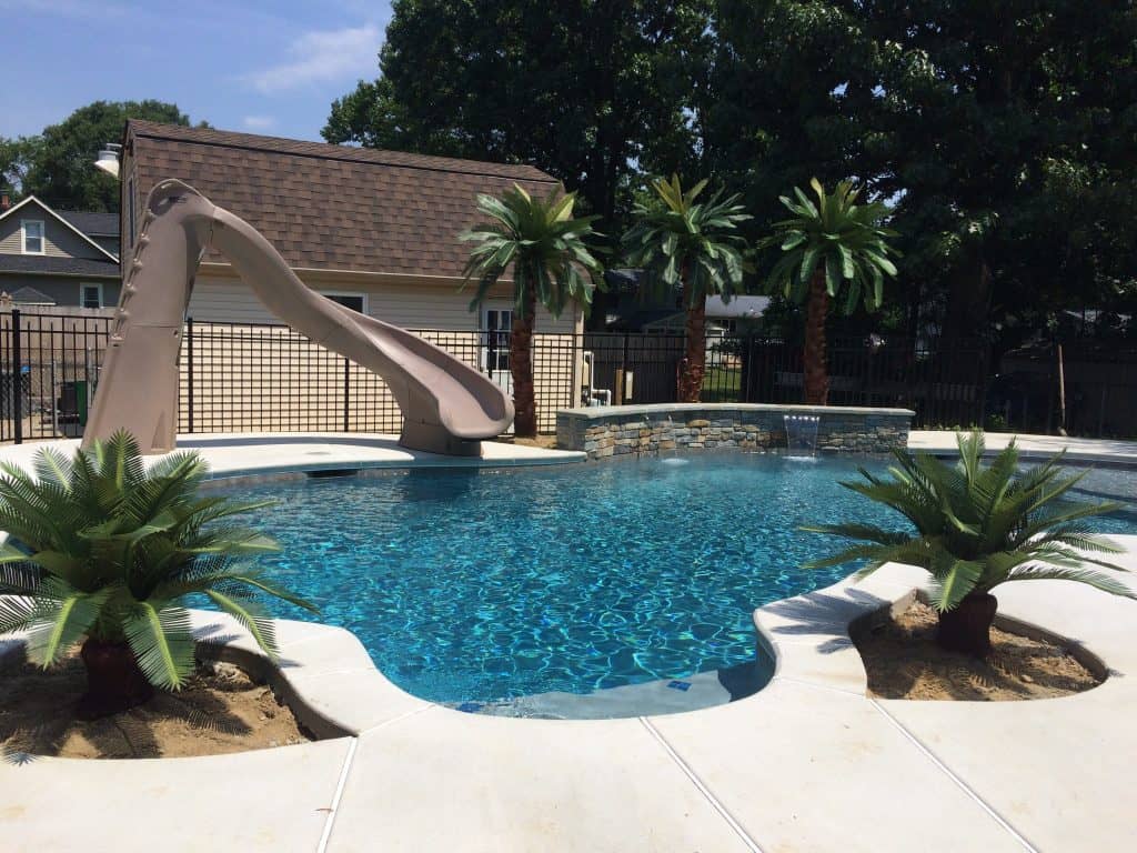 3 Canary palms 2 small sagos