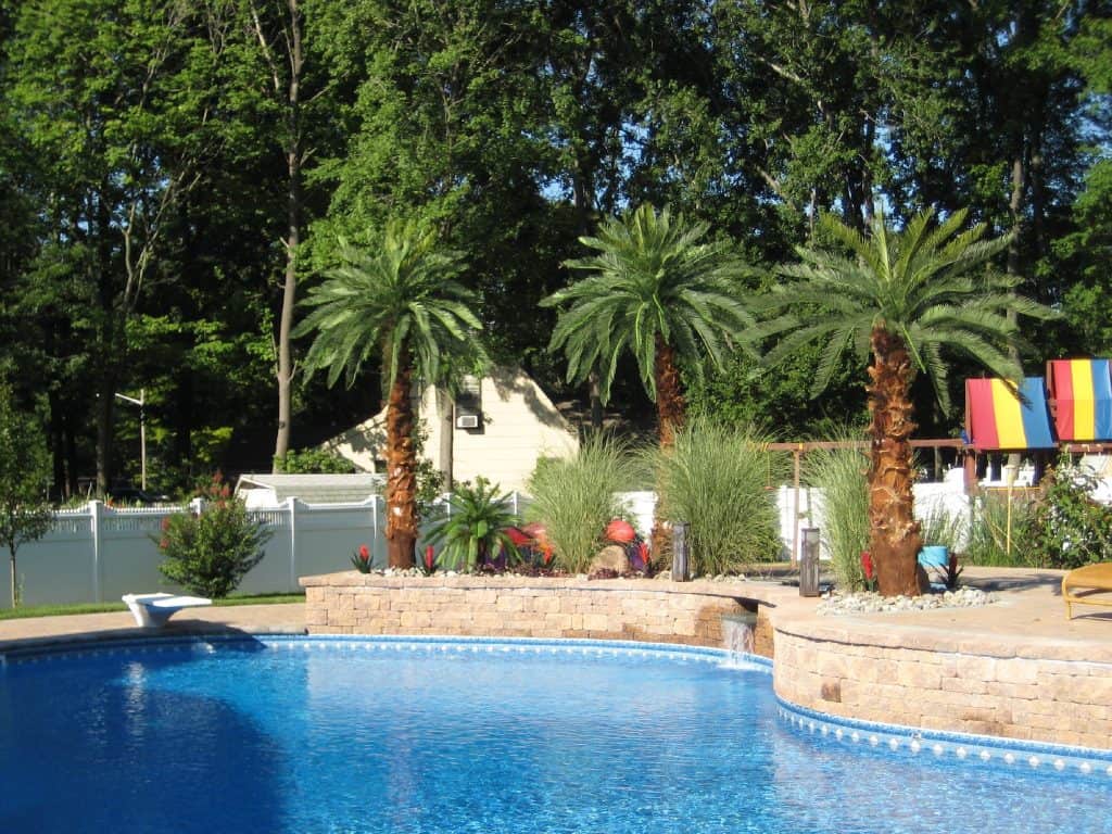 3 and 4 meter Canary Palms 2015 07 06 10 42 01 UTC