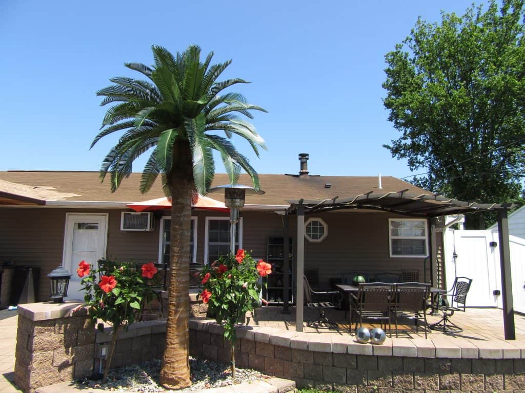 60 leaf Coconut 4 2015 07 31 16 31 33 UTC