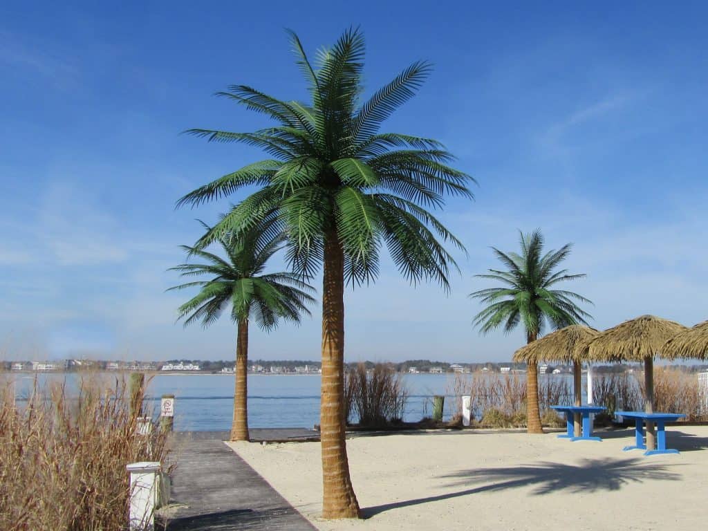 outdoor-artificial-palm-trees