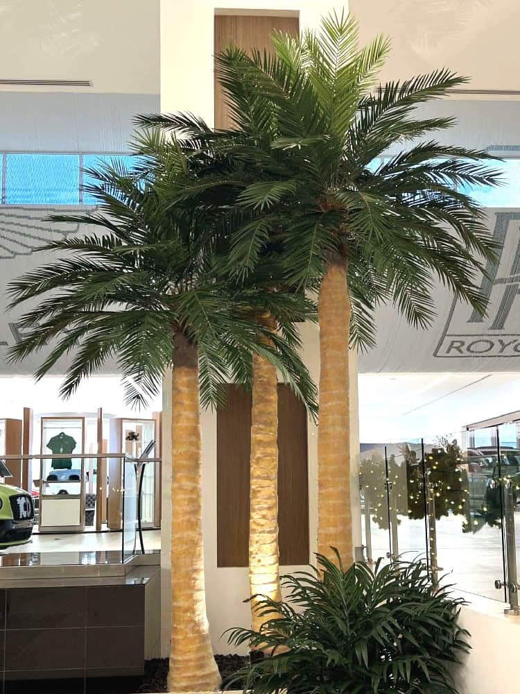 Home 2 Indoor-Artificial-Palm-Trees